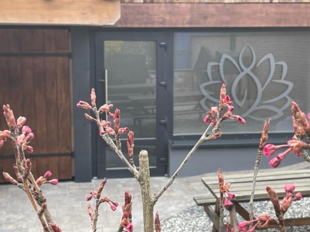 Apartment Les Granges De Jadis Alsace Bis